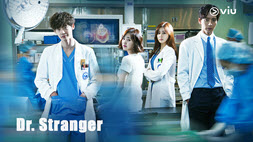 nonton streaming download drakorindo doctor stranger sub indo viu