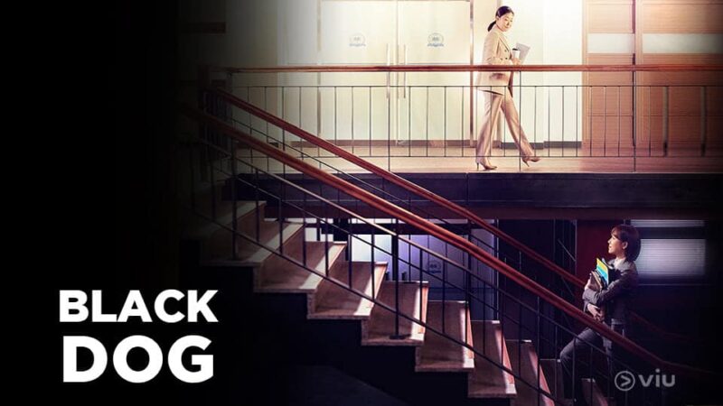 nonton drakor black dog sub indo di viu