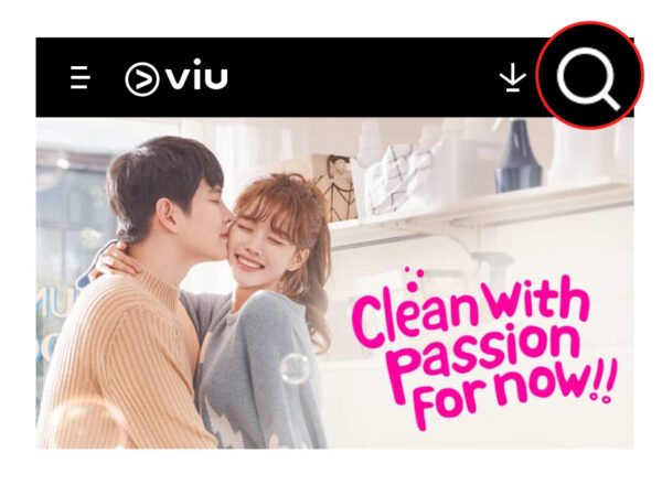cari 100 days my prince sub indo di viu