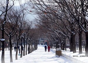 panduan berlibur pecinta alam, seoul