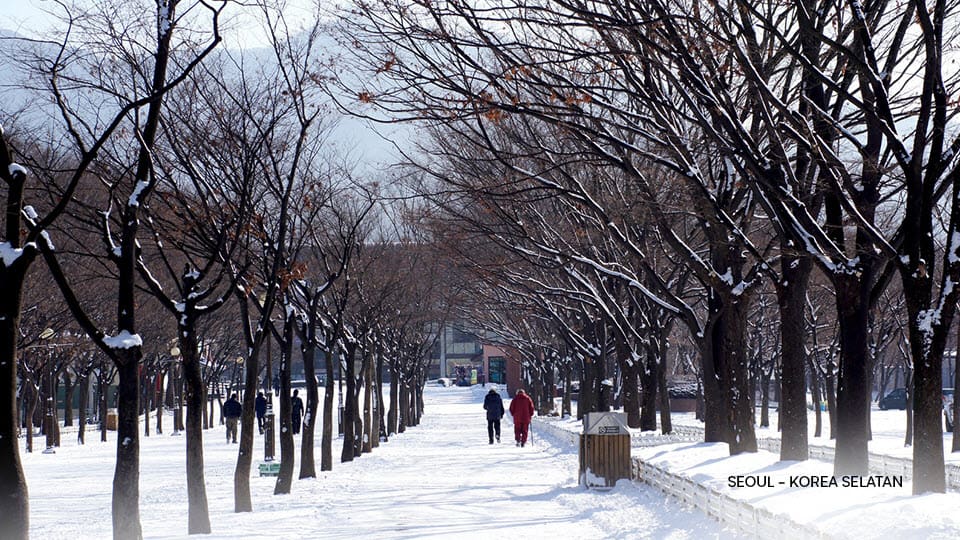 panduan berlibur pecinta alam, seoul
