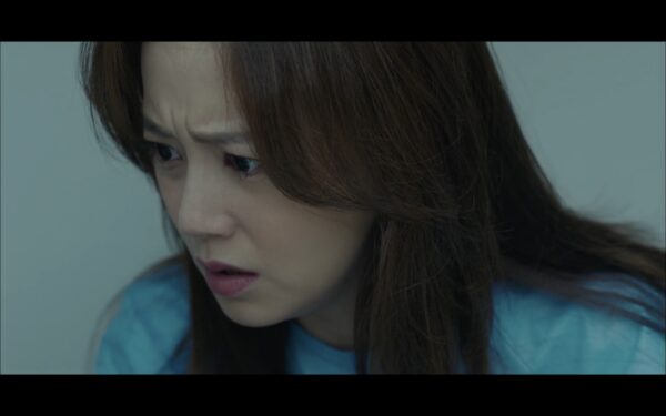 nonton streaming download drakorindo flower of evil sub indo viu
