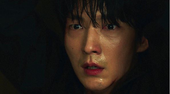 nonton streaming download drakorindo flower of evil sub indo viu