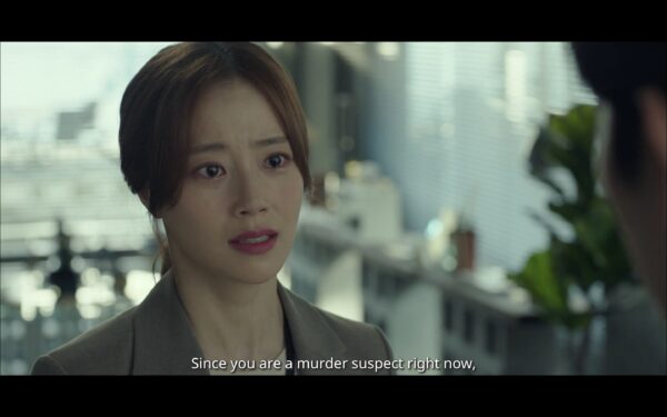 nonton streaming download drakorindo flower of evil sub indo viu