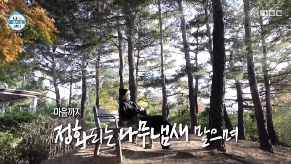 nonton streaming download kshow I Live Alone Kai EXO sub Indo di Viu