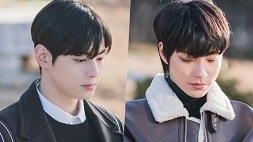 nonton streaming download drakorindo true beauty sub indo di viu