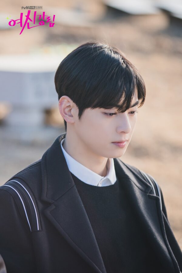 nonton streaming download drakorindo true beauty sub indo di viu
