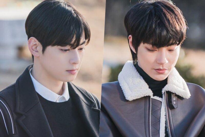 nonton streaming download drakorindo true beauty sub indo di viu