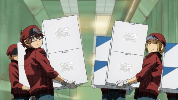 sinopsis anime cells at work! CODE BLACK episode 1 sub indo viu