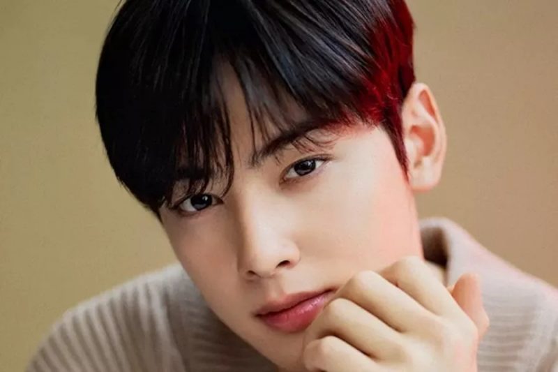 nonton streaming download drakorindo true beauty sub indo viu