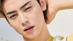 cha eun woo nonton streaming download drakorindo true beauty sub indo viu