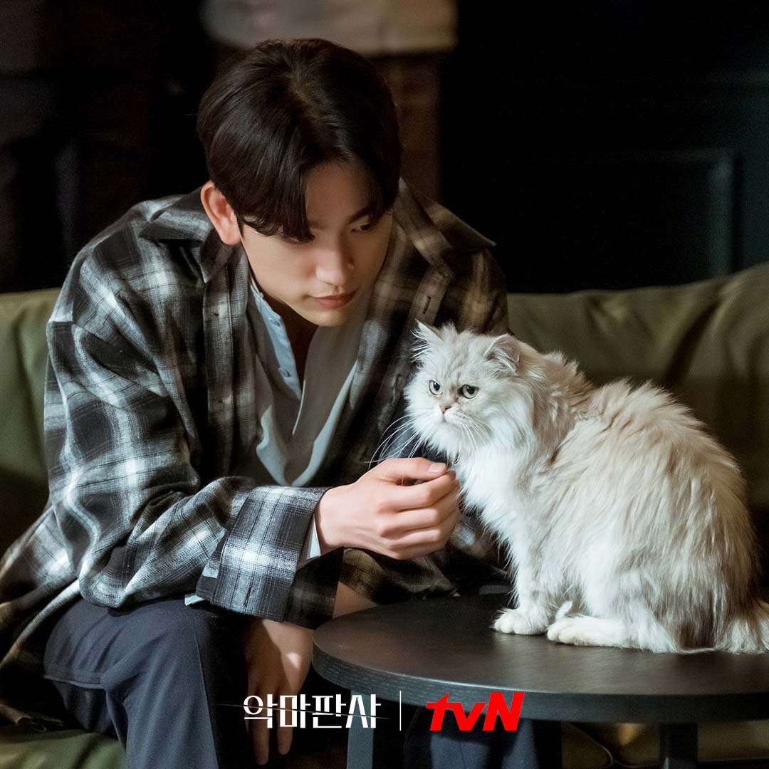 nonton streaming atau download drama korea the devil judge sub indo viu