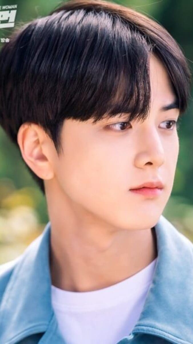 nonton streaming download drakorindo one the woman sub indo viu
