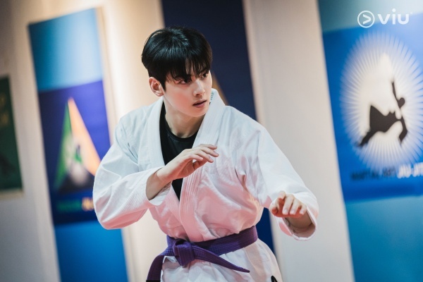 nonton streaming atau download drama korea true beauty sub indo viu