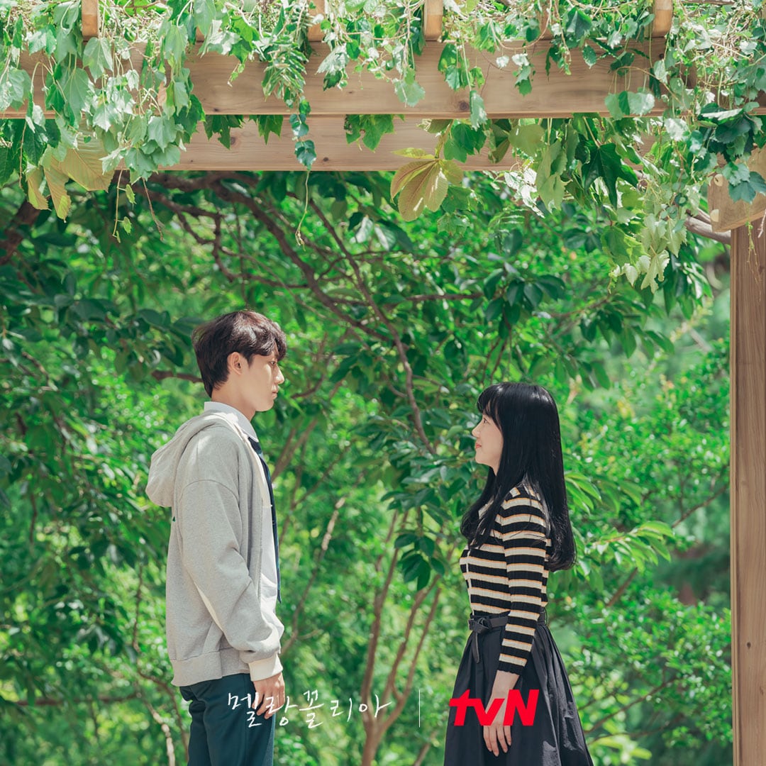 nonton streaming download drakorindo melancholia sub indo viu