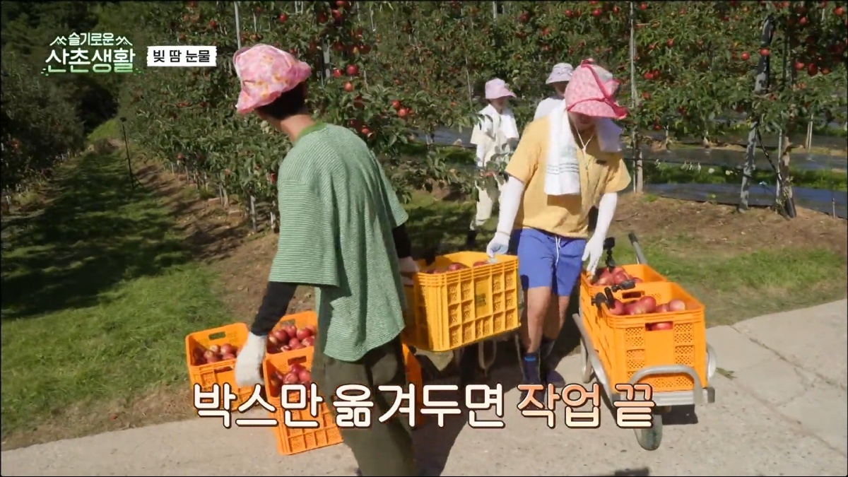 nonton streaming download drakorindo three meals a day doctors (wise mountain village life) sub indo viu