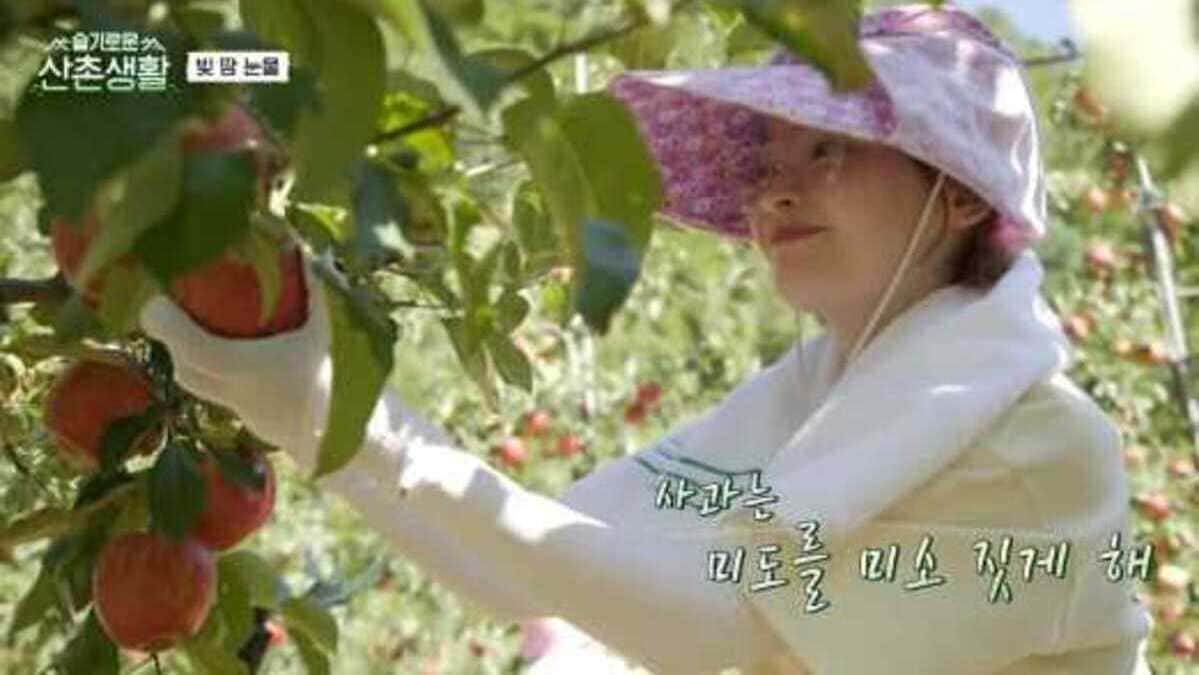 nonton streaming download drakorindo three meals a day: doctors (hospital playlist) sub indo viu