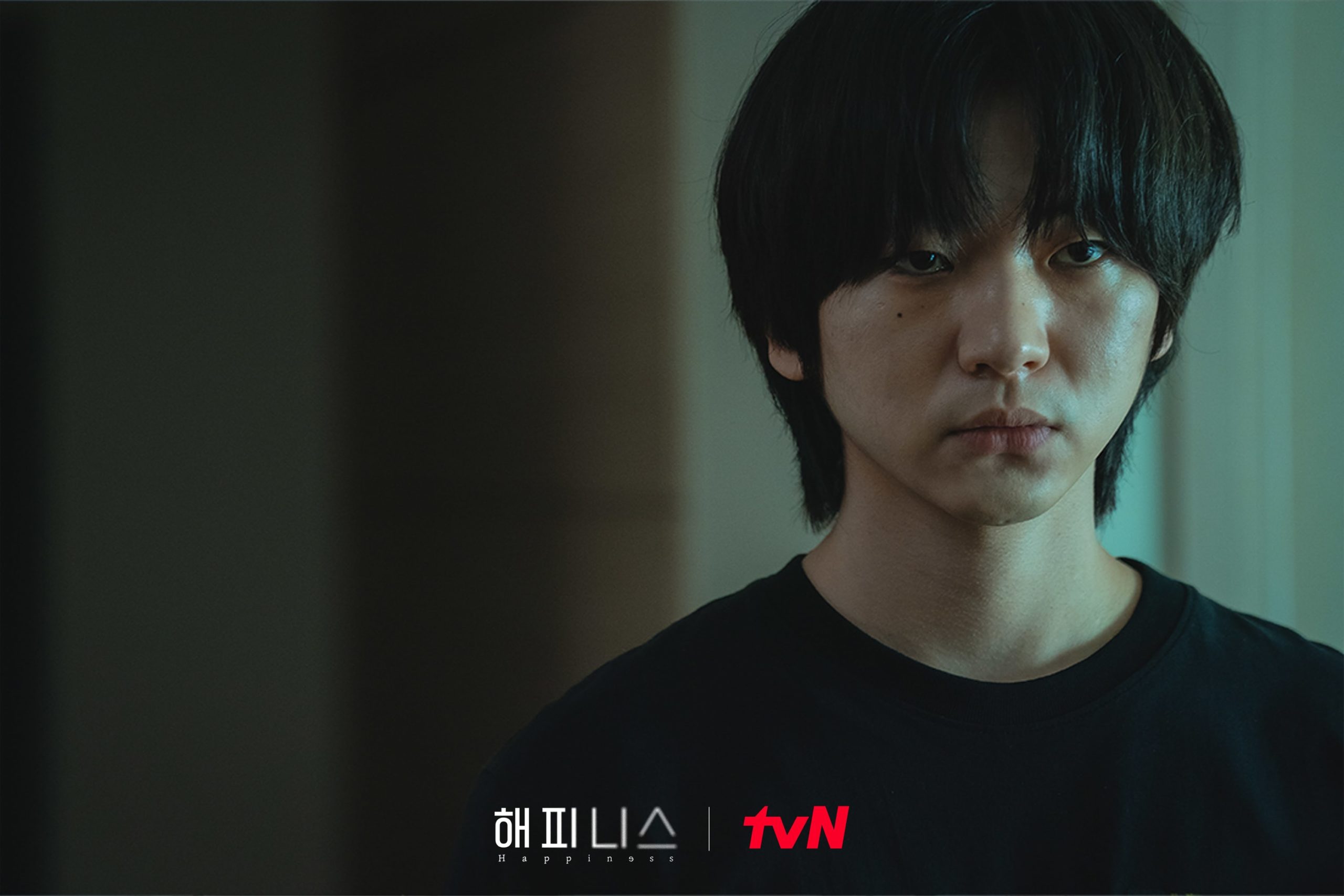 nonton streaming atau download drama korea happiness sub indo viu