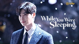 nonton streaming download drakorindo while you were sleeping sub indo viu