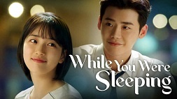 nonton streaming download drakorindo while you were sleeping sub indo viu