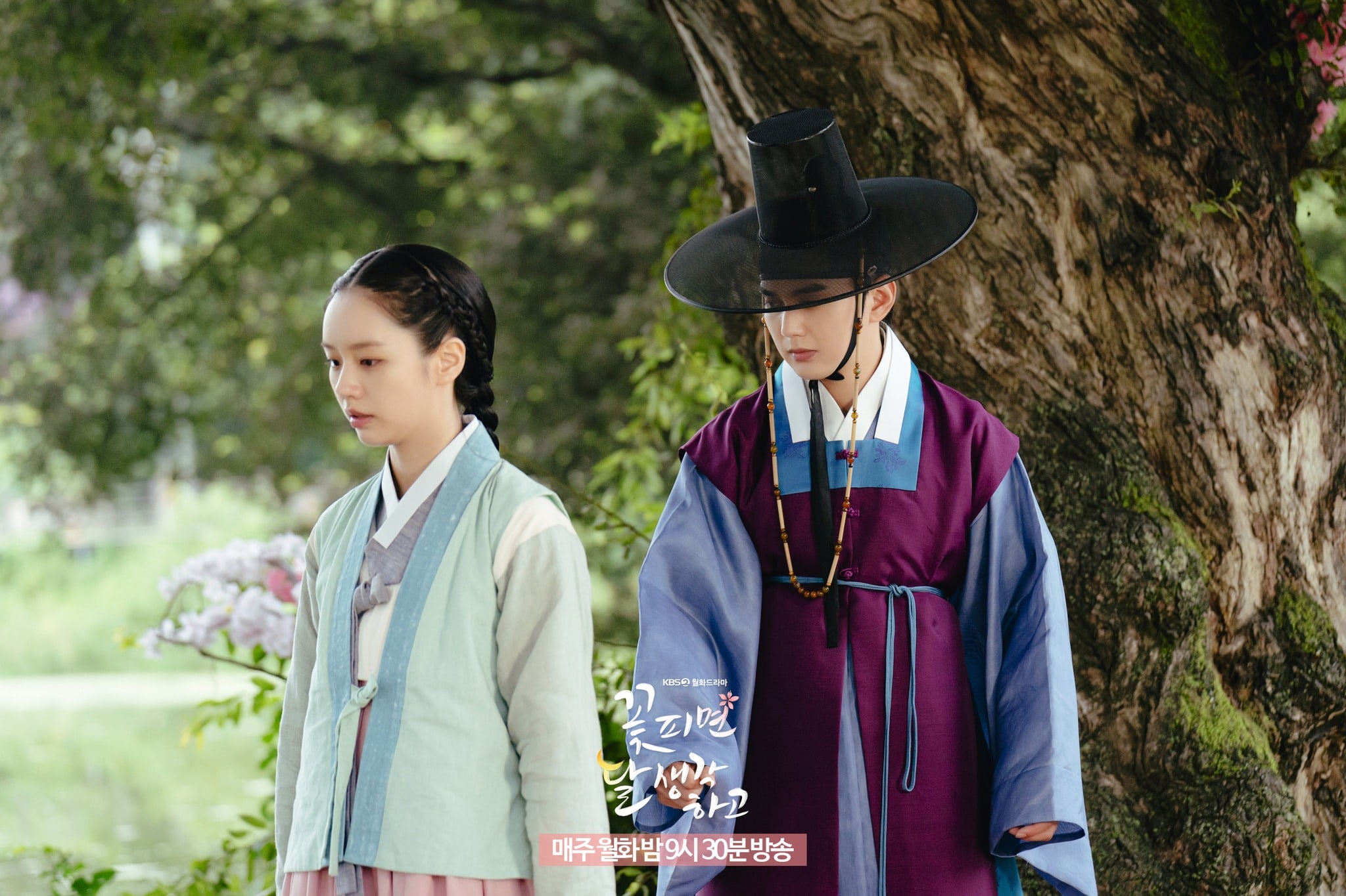 nonton streaming download drakorindo moonshine sub indo viu