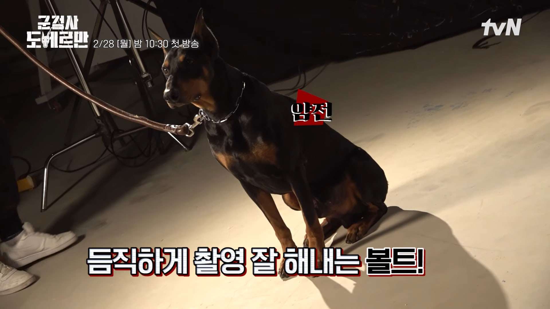 nonton streaming download drakorindo military prosecutor doberman sub indo viu