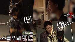 nonton streaming download drakorindo military prosecutor doberman sub indo viu