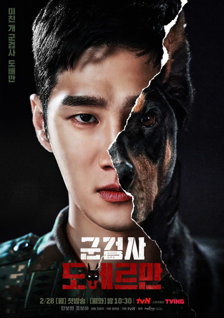 nonton streaming download drakorindo military prosecutor doberman sub indo viu