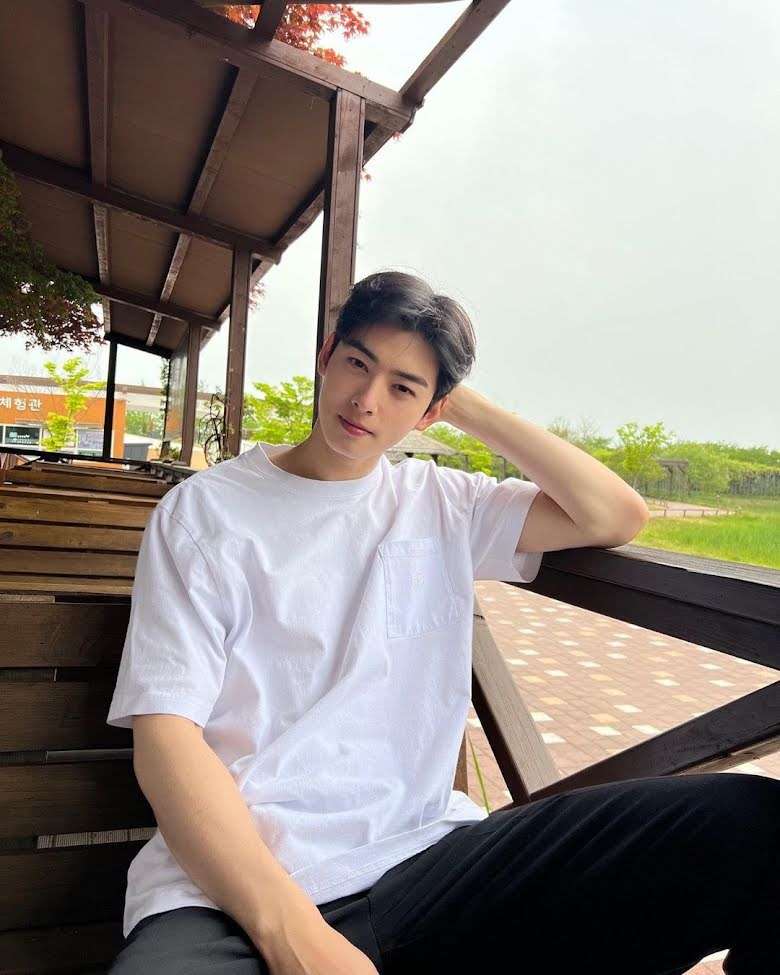 cha eun woo, nonton streaming download drakorindo true beauty sub indo viu