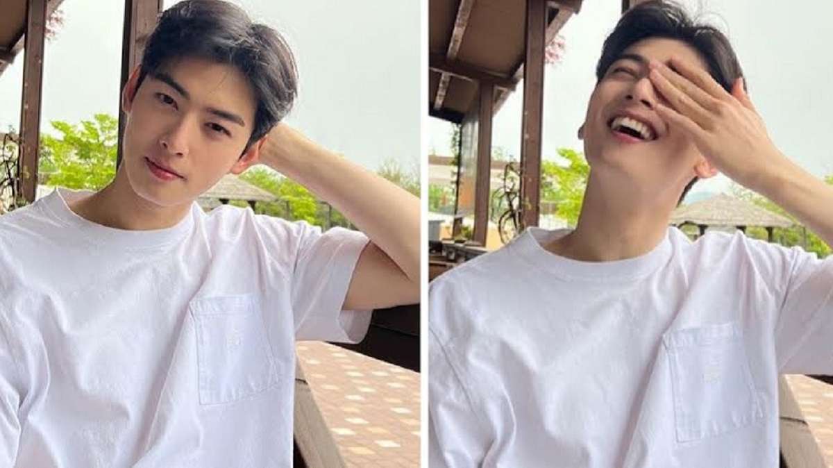 cha eun woo, nonton streaming download drakorindo true beauty sub indo viu
