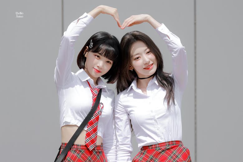 nonton streaming download drakorindo knowing brothers (men on a misison) sub indo viu