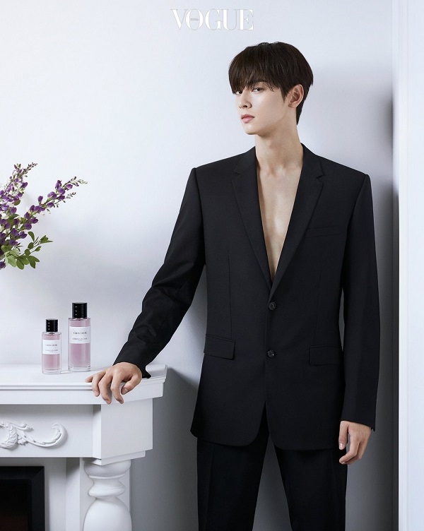 cha eun woo, nonton streaming download drakorindo true beauty sub indo viu