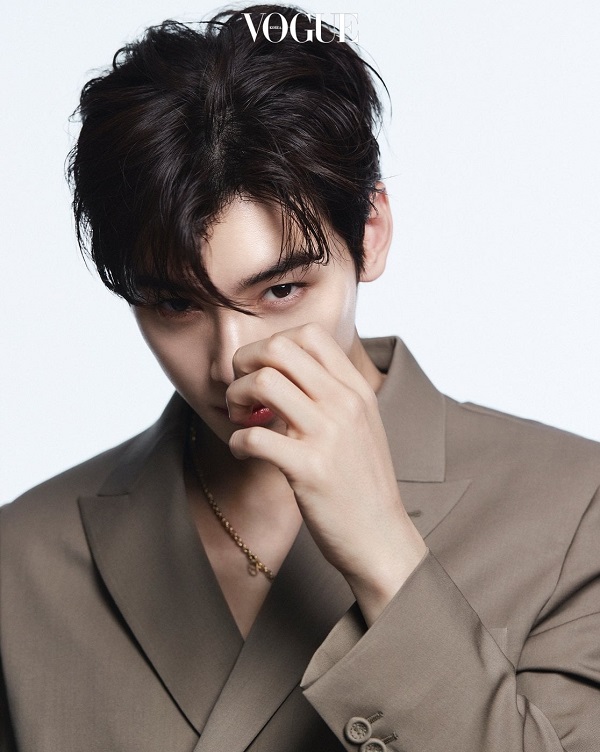 cha eun woo, nonton streaming download drakorindo true beauty sub indo viu