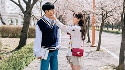 nonton streaming download drakorindo the law cafe sub indo viu