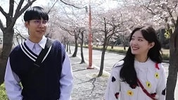 nonton streaming download drakorindo the law cafe sub indo viu