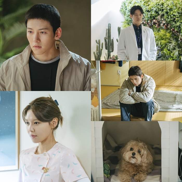 nonton streaming download drakorindo if you wish upon me sub indo viu