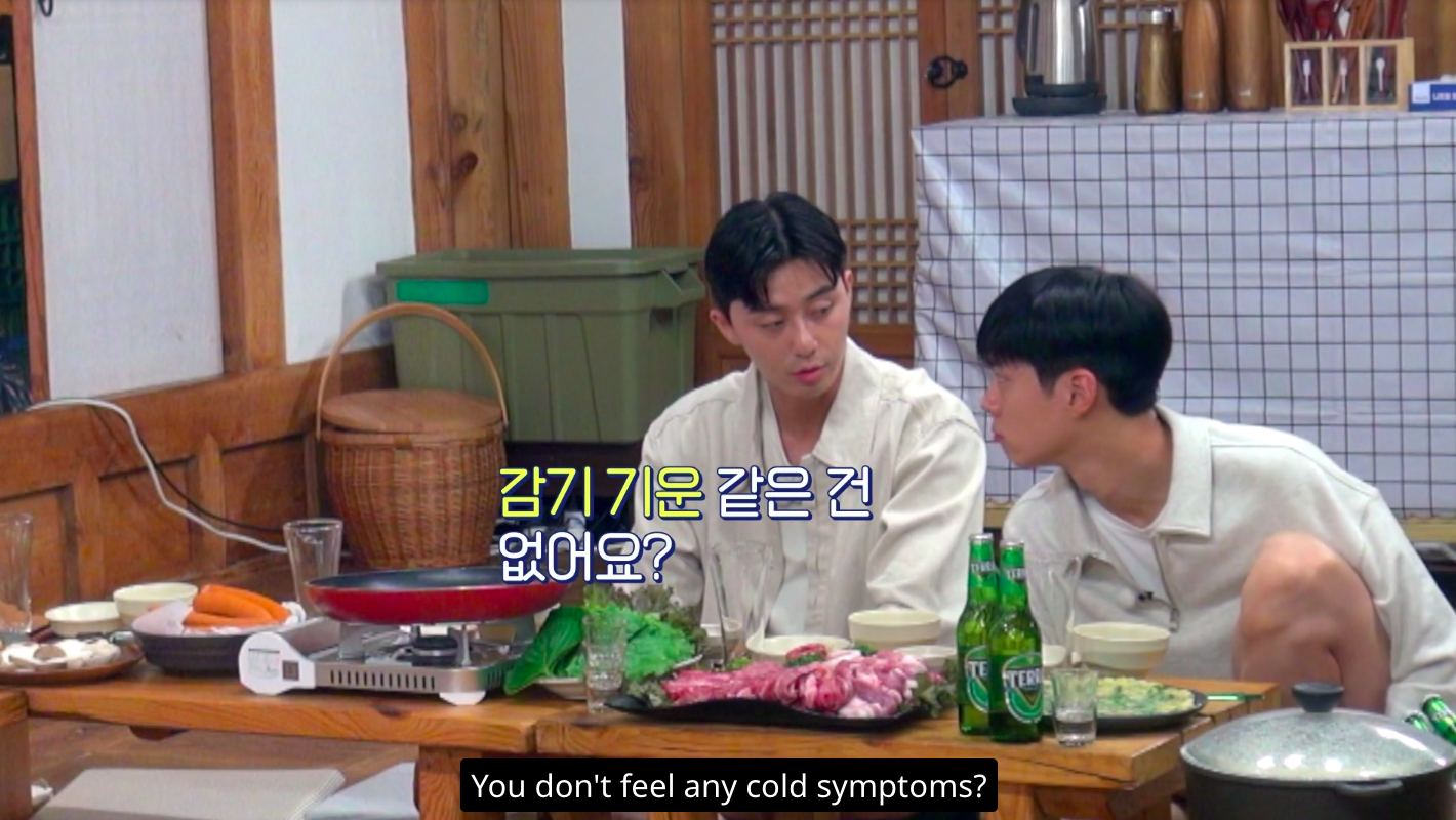 nonton streaming download drakorindo young actor's retreat (youth mt) sub indo viu