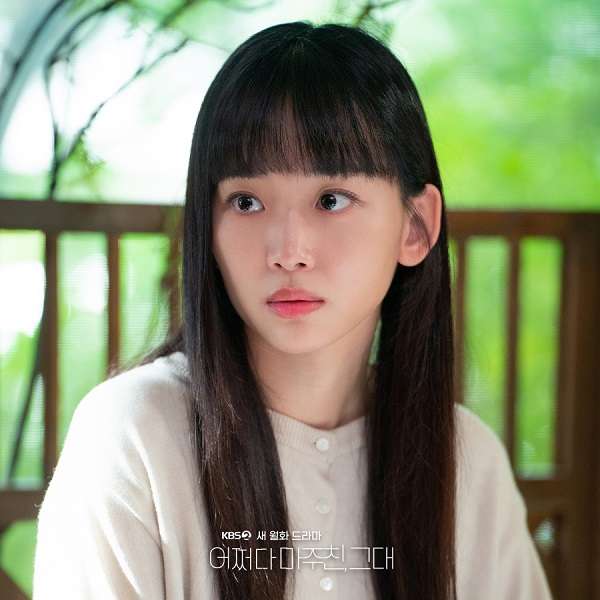 nonton streaming download drakorindo my perfect stranger sub indo viu