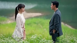 nonton streaming download drakorindo my perfect stranger sub indo viu original