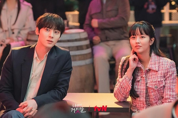 nonton streaming download drakorindo my lovely liar sub indo viu original