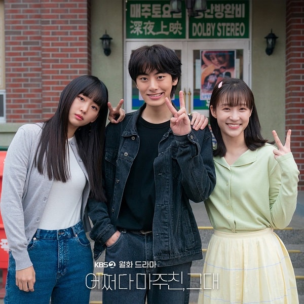 nonton streaming download drakorindo my perfect stranger sub indo viu