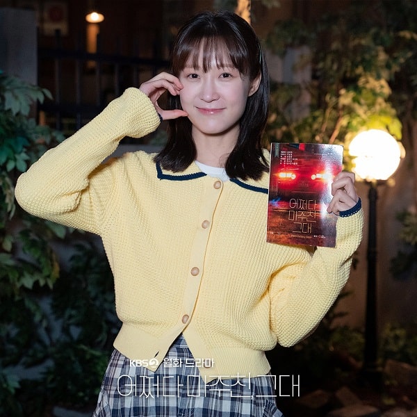 nonton streaming download drakorindo my perfect stranger sub indo viu