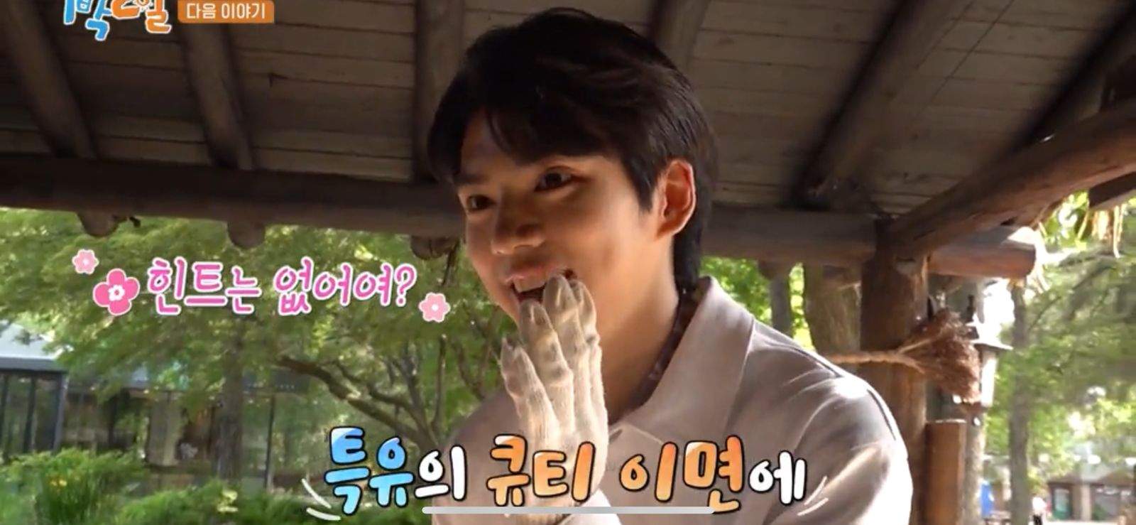 nonton streaming download drakorindo 2 days 1 night season 4 sub indo viu