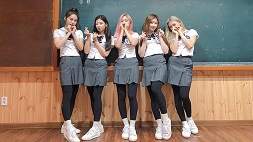 nonton streaming download drakorindo knowing brothers sub indo viu