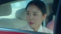 nonton streaming download drakorindo durian's affair sub indo viu