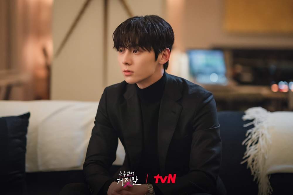 nonton streaming download drakorindo my lovely liar sub indo viu