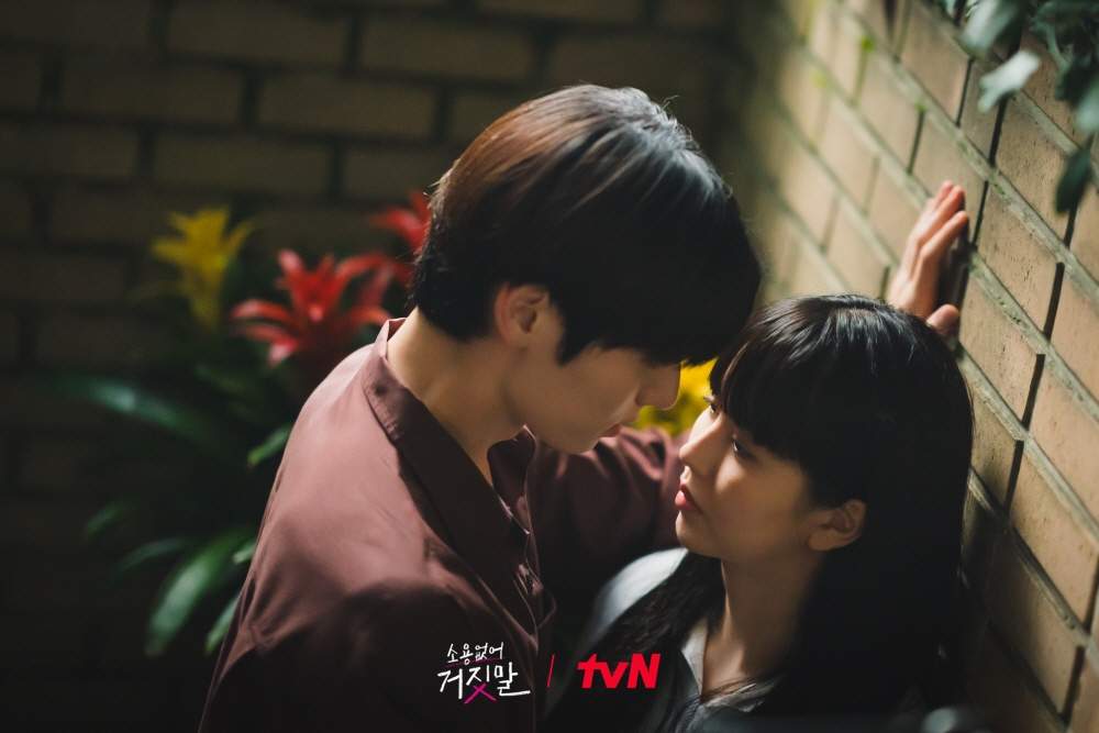 nonton streaming download drakorindo my lovely liar sub indo viu