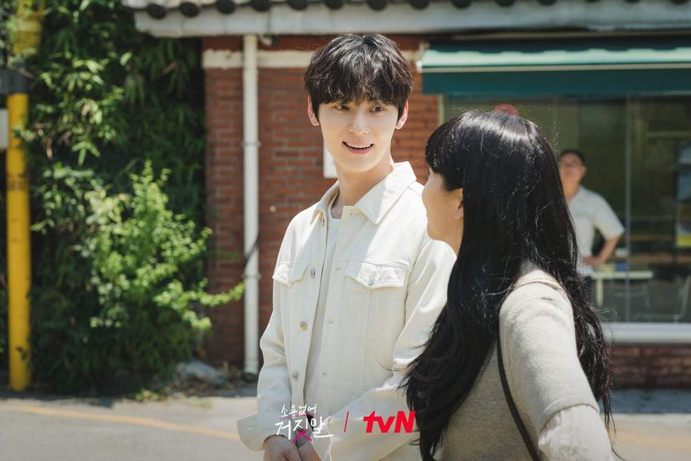 nonton streaming download drakorindo my lovely liar sub indo viu