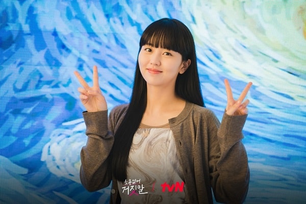 nonton streaming download drakorindo my lovely liar sub indo viu