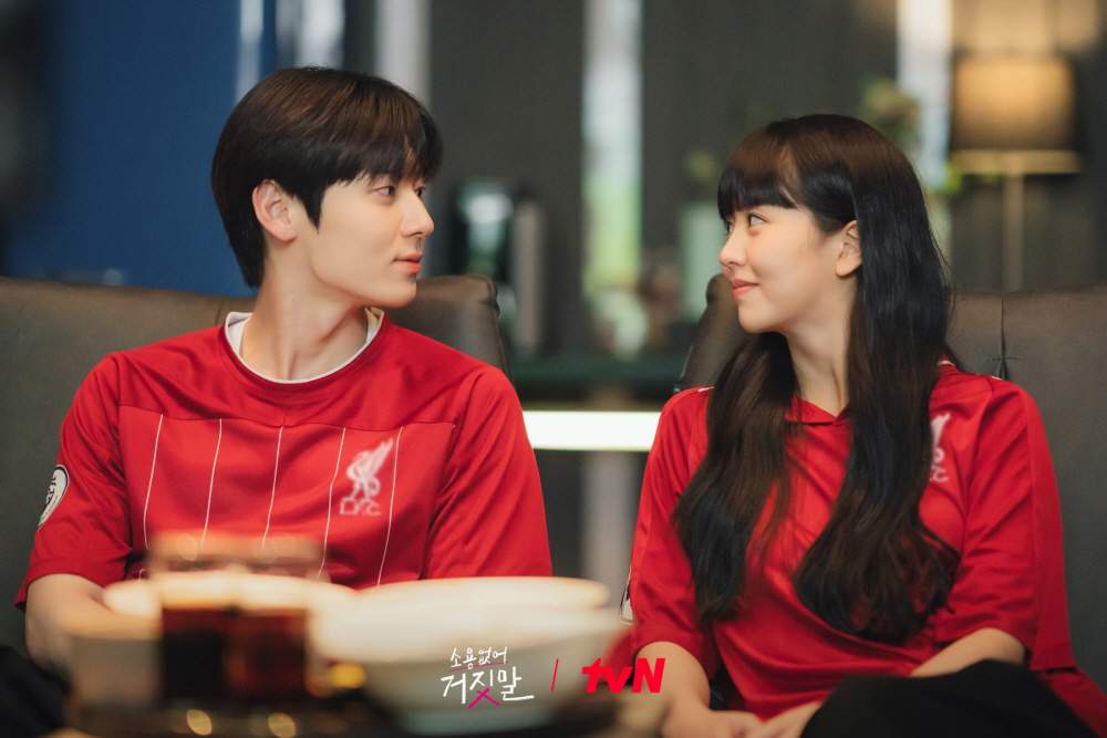 nonton streaming download drakorindo my lovely liar sub indo viu